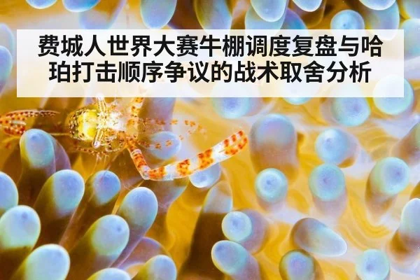 费城人世界大赛牛棚调度复盘与哈珀打击顺序争议的战术取舍分析